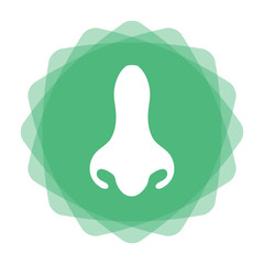 App Icon mint - Nase