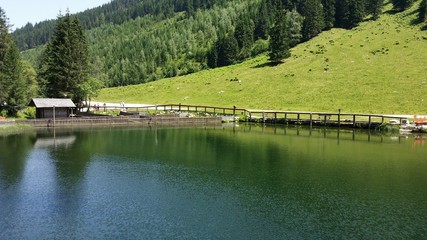 Obraz premium Steirischer Bodensee - Austria