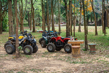 ATV 4x4 Extreme rider get ready to Journey through the jungle with Off-road atv car © Nitiphonphat