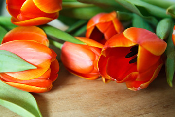 Orange tulip on wood desk