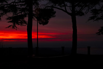 tramonto rosso alberi silhouette