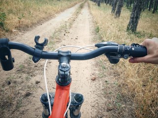 Fototapeta na wymiar Point of view of a handle bar of a bicylce in a forest 