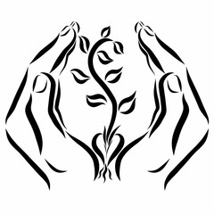 Hands protecting the young sprout