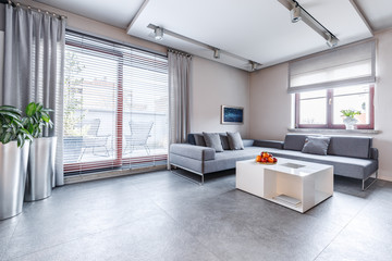 Bright spacious gray living room