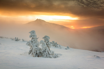 Fototapeta Winter sunrise over the Sniezka mount in the Giant Mountains, Karkonosze, Poland obraz
