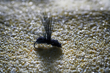 Artificial fly for fishing for trout and other predators 
