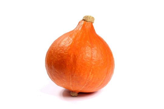 Potimarron, courges, coloquintes, cucurbitac&eacute;es 