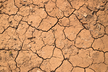 Cracked dry brown soil textured background