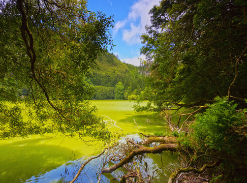 Lagoa do Congro, Sao Miguel Island, Azores, Portugal