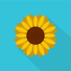 Circle of sunflower icon. Flat illustration of circle of sunflower vector icon for web