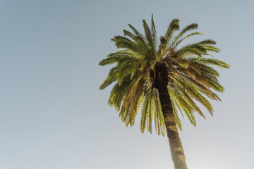 Palma Gran Canaria © eneptor