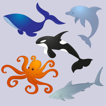 animal ocean vector images collection, dolphin, whale, octopus, killer whale, shark