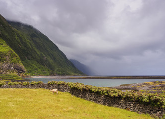 Fototapeta na wymiar Faja da Caldeira de Santo Cristo, Sao Jorge Island, Azores, Portugal
