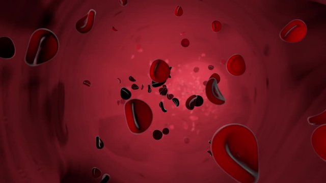 Blood Cells Flowing Through Vessel Loop. a looping animation of blood cells flowing through a blood vessel