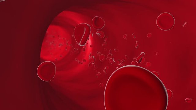 Blood Cells Moving Through a Blood Vessel Loop. a looping animation of blood cells flowing through a blood vessel