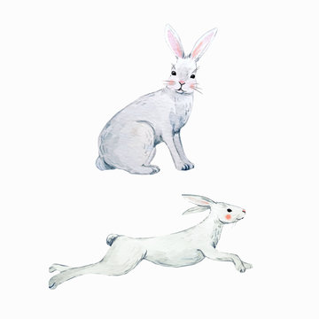 recommend clip art: Watercolor vector rabbit set