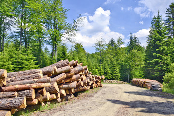 Woodpile arranged in stack by the forest road