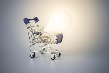 Lightbulb on shopping cart.