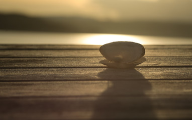 Sunset at Trondheim fjord, blurred mountains and the shell on the wooden tablw 