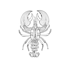 Vector Lobster