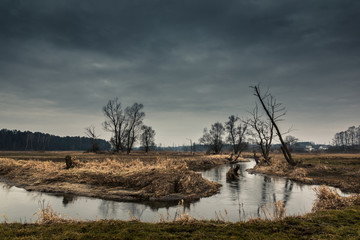 Obraz na płótnie Canvas Spring landscape with trees and Jeziorka river somewhere in Poland