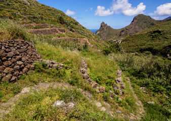 Fototapeta na wymiar Landscape of the trail from Cruz de Taganana to Taganana, Anaga Rural Park, Tenerife Island, Canary Islands, Spain