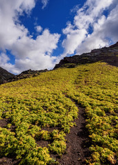 Obraz premium Anaga Rural Park, Tenerife Island, Canary Islands, Spain