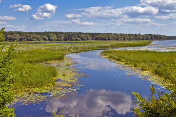 Hot summer day on the river