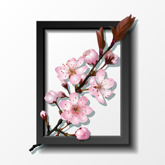 Branch of pink sakura cherry flowers in frame