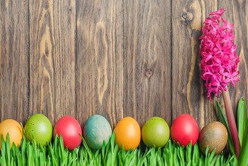 Easter colorful eggs in green grass
