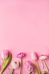 Keuken spatwand met foto Pink flowers on a pink background. Flat Lay. Copy space. © Halfpoint