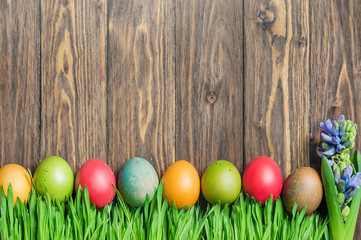 Easter colorful eggs in green grass