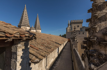 The Papel Palace in Avignon, France