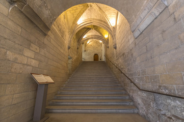 The Papel Palace in Avignon, France