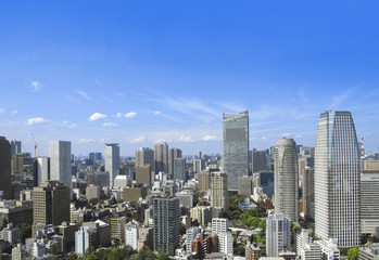 Fototapeta na wymiar Overlooking Tokyo City from observatory