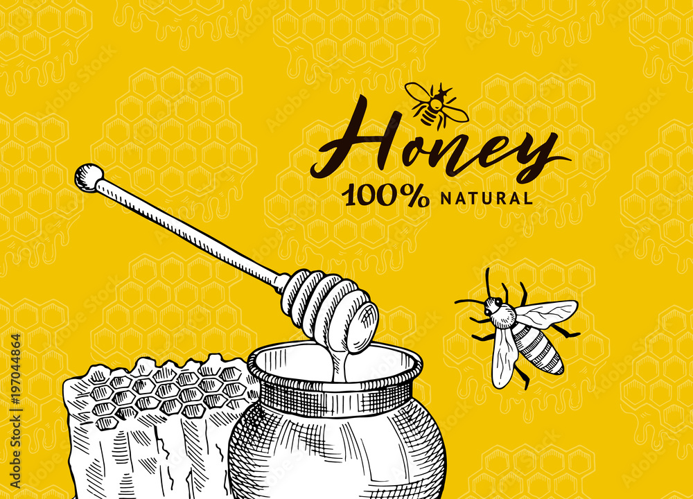 Poster vector background with sketched contoured honey theme elements on honeycombs background