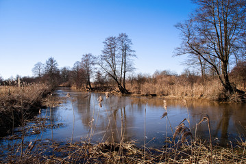 Przedwiośnie w Dolinie Narwi