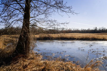 Przedwiośnie w Dolinie Narwi