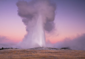 Old Faithful