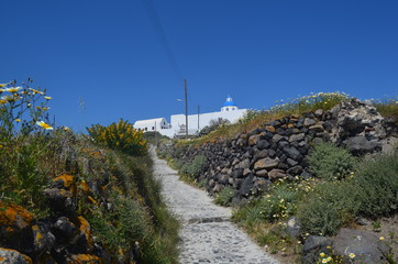 A path surrounded by flowers and stones on Santorini an island in Greece