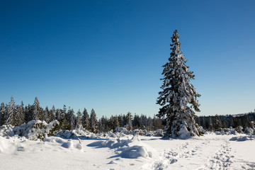 Winterlandschaft