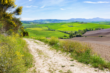Fototapeta na wymiar Hiking trail in a Tuscan landscape
