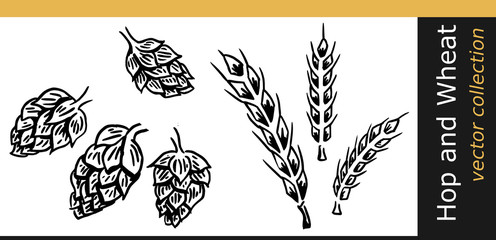 tarwe gerst en hop © emieldelange