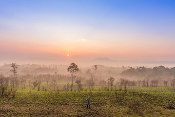 Beautiful forest landscape of foggy sunrise in Thung salaeng Luang National Park (Nong Mae na)