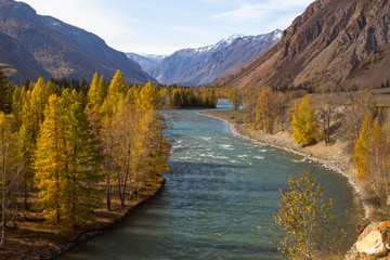Katun River at autumn in Altai Republic, Russia.