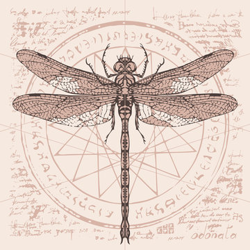 Illustration of a dragonfly on an abstract background of old papyrus or a manuscript with spots, circle, star, magical inscriptions and symbols. Vector banner in retro style
