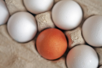 colored eggs in a cardboard box