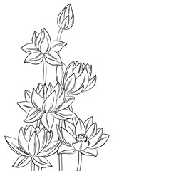 vector contour lotus flower bouquet meditation symbol coloring page