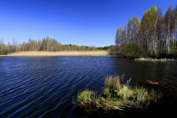 Panoramic view of trees and fields over peat bog and water reservoir within the Calowanie Moor geographical terrain in early spring season in central Poland mazovian plateaus near Warsaw