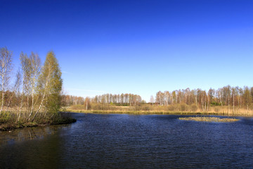 Panoramic view of trees and fields over peat bog and water reservoir within the Calowanie Moor geographical terrain in early spring season in central Poland mazovian plateaus near Warsaw